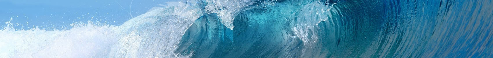 展覽工程欄目圖